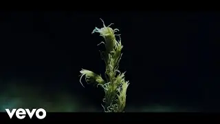 Ólafur Arnalds - New Grass