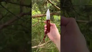 BeaverKnife  GrandPa