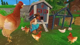 New Chicken Pets At Star Stable Camp Western