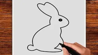 HOW TO DRAW RABBIT