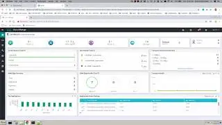 Cisco SDWAN - ZTP Scenario 1 - P4.3