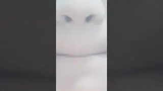 #tutorial