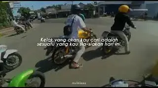 story' wa herex || herex Tiger kompresi padat.