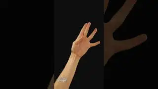 Саморазвитие через пальчиковую гимнастику