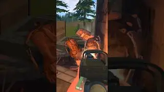 Attacked by a squad #Strayed #Vr