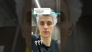 Влад А4. Сделай собачку
