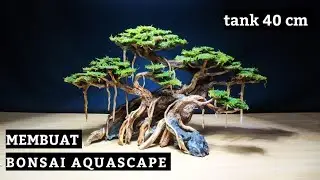 Step by step CARA MEMBUAT BONSAI AQUASCAPE untuk tank 40 cm