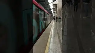Сокольники 11