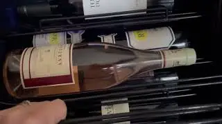 Wine Enthusiast VinoView: Is This Wine Fridge Worth It?
