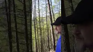 Morning on a remote mountain in Japan...