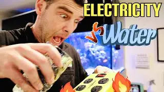 Don’t BURN DOWN your fish tank!