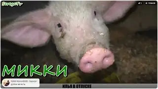 Микки. Новый участник шоу. Герои кормят и знакомятся. Часть 1.