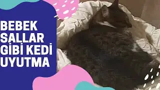 BEBEK SALLAR GİBİ KEDİYİ SALLAYARAK UYUTMA