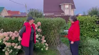 Русская ива. Как украсить участок ивами. В гостях у Галины.