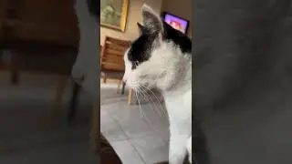 Say hello to my little friend.