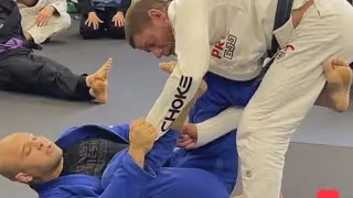 Lasso Guard Attack System