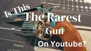 The Rarest Gun on YouTube??