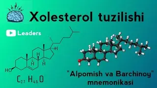 Alpomish va Barchinoy Yoxud Xolesterol | Mnemonika | Murakkabdan - Soddaga
