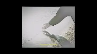 POOLS 「Swimming」(Music Video)