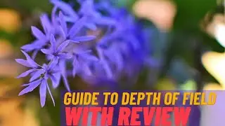 Dof photo-assignment & review
