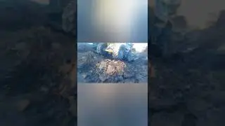 Копаем пруд