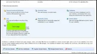 How to view and manage a website's logs in Plesk 10