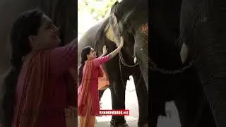Saranya Mohan-ൻ്റെ വീട്ടിൽ ഉമ കുട്ടി പനമ്പട്ട എടുക്കാൻ എത്തിയപ്പോൾ ❤