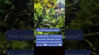 #бычийрынок - период времени с ростом х100