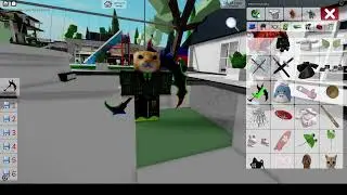 Это тутор как стать Барсиком