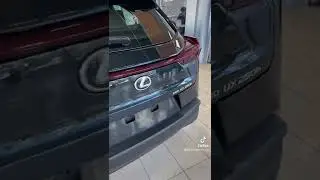 The 2023 Lexus UX 250h Elegance Edition ✨