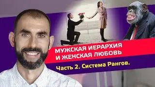 Мужская Иерархия и Женская Любовь. Часть 2. Три мужских Ранга.  #любовь #отношения #мужчина
