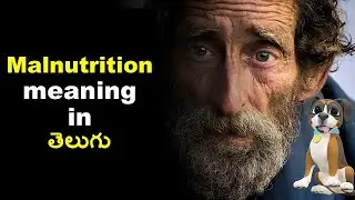 Malnutrition Meaning  in Telugu | Malnutrition in Sentences | Malnutrition Pronunciation and Images