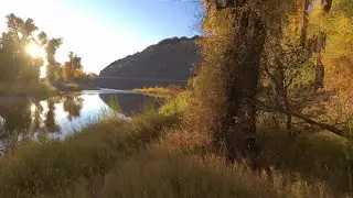 Fall FPV Cinematic Golden Hour ,Yampa River (watch in 4K)