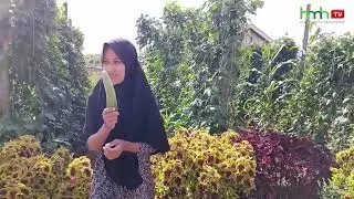PICKING VEGETABLES AT MR. PAI'S HOUSE