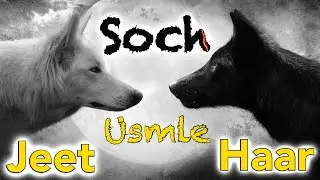 A Wolf is gonna rob you of USMLE - USMLE Mindset