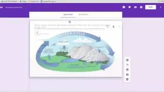 Google Forms:  How to Add Images to Questions