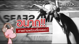 Crazy young man - got eaten by a fish!! 