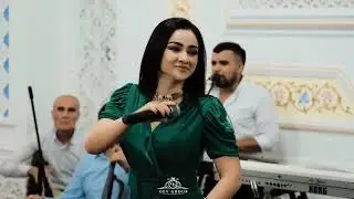 Нозияи Кароматуло туёна 2023