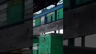 Пасека весной 2020г . Возвращение с зимовки в условиях карантина. Сильные семьи.
