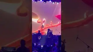 CKay performs Love Nwantiti song Live in Bangalore | 