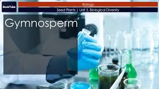 Gymnosperms | Seed Plants | Unit 5. Biological Diversity