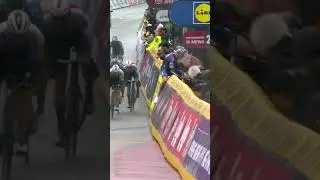 Tim Merlier's Close Call! 