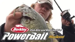 Berkley Maxscent Flatworm- Drop Shotting for Smallmouth Bass #Shorts