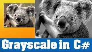 Color image to Grayscale Code: C# sharp | Image processing in C# sharp for beginners.