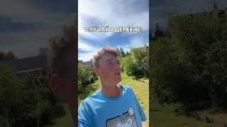 СЛУЧАЙ В ДЕРЕВНЕ