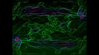 FREE Lil Uzi Vert x Dj Plugg x Bobby Kritical Type beat -"Stardust"