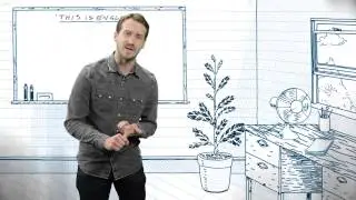 Learn English: phrasal verb focus - put