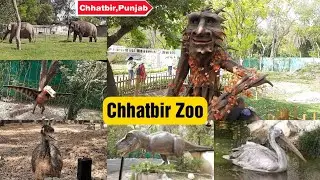 Chhatbir Zoo 2022 | छतबीर चिड़ियाघर | Chhatbir zoo vlog | chhatbir Zoo open after lockdown 2022
