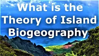 What is the Theory of Island Biogeography? Very Important to Understand Conservation Biology