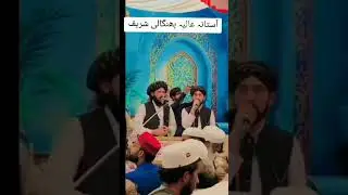 #bhangalisharif #saifibrothers #bhangalishareef #viralvideo #trendingshorts